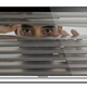 Illustration for article titled Can Obamas New Consumer Privacy Bill Keep Your Data Safe?